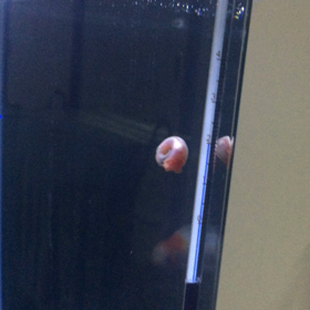 しょうもない動画の画像