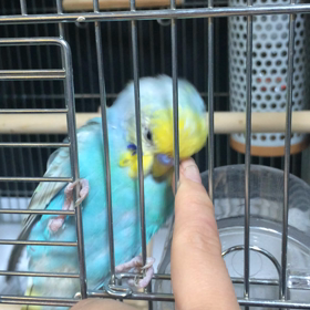 気持ちいい動画の画像