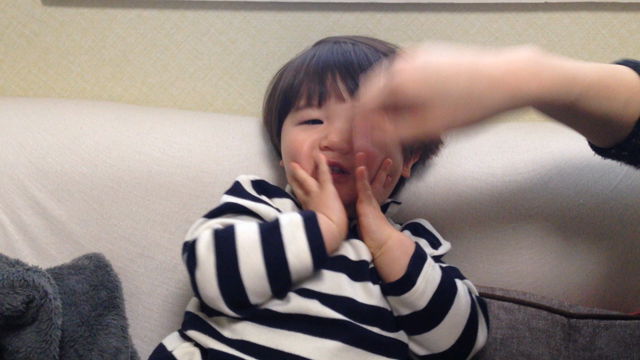 運命の記事動画