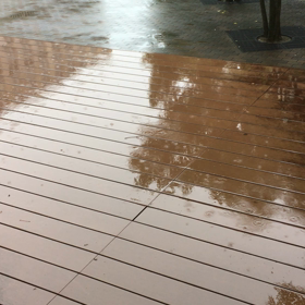 昨日の雨の画像