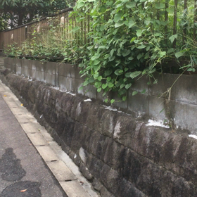 名刹の名僧法師蝉の画像