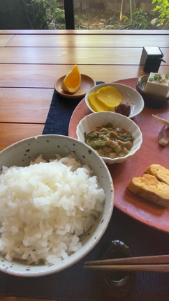熊本温泉 山川ZENZO宿泊記その②大浴場～朝食編の記事動画