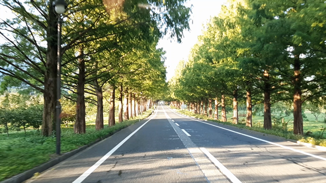 時間は進化の現れの記事動画