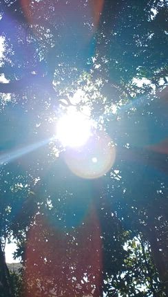 走水神社さんと虹色の光に包まれた観音様✨️の記事動画