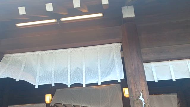 久しぶりのスピフェス✨️アマテラス様の光の記事動画