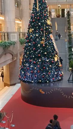 ✨️ののさんの神旅の意味を知ってください✨️の記事動画