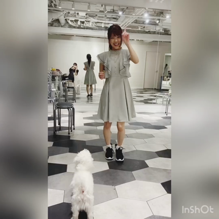 ᐡ｡• ·̫ •｡ᐡの記事動画