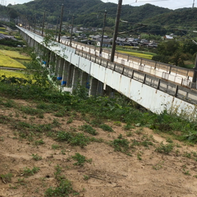 本日のドクターイエローの画像