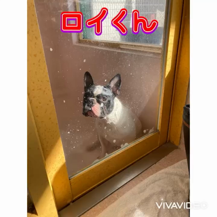 2023/11/01の記事動画