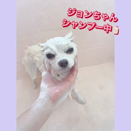 2023/10/24の記事動画