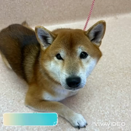 2023/10/23の記事動画