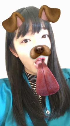 ごめんね(´･_･`)の記事動画