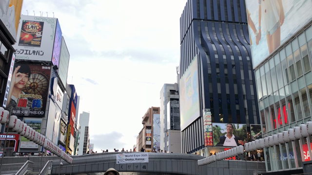 Himeji castle and OSAKAの記事動画