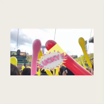 今シーズン初の甲子園球場の記事動画