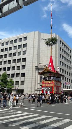 観葉植物 丸坊主の記事動画