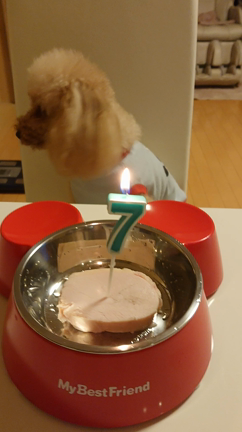 ソラ君誕生日の記事動画