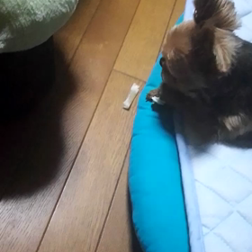 ご機嫌なひまちゃん…の画像