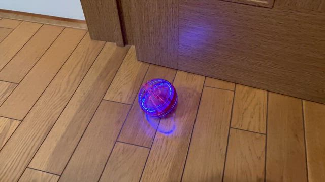 娘｡ついに美容院で赤い髪に！/話題のフライングボールの記事動画