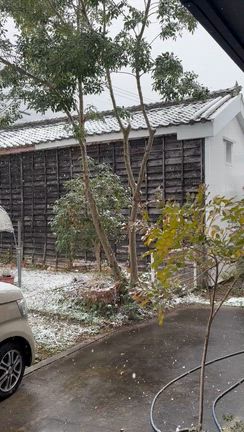 お正月2日目は雪の記事動画