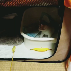 まるの画像
