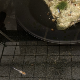 あっという間の10月ヾ(･ω･`の画像