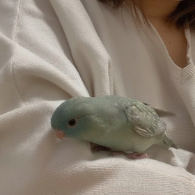 まったりの画像