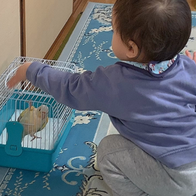 赤ちゃんとウロコちゃんの画像