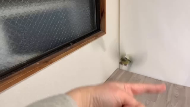 可愛くないですか？の記事動画