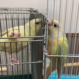 嫌な時の画像