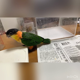 ごはん♫の画像