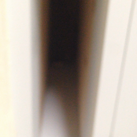 小毬の尻尾の画像