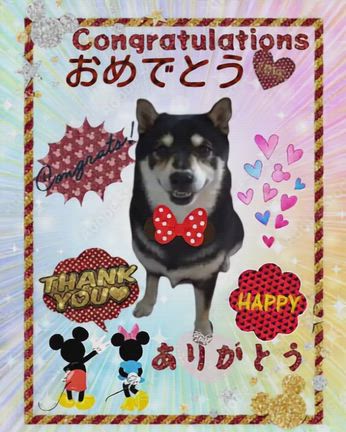 ㊗うちの子記念日ひまわりちゃん♡＆「10月のカレンダー」受付中♫の記事動画