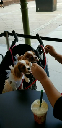 ”姫たん、秋のお出かけ楽しんでね♡”の記事動画