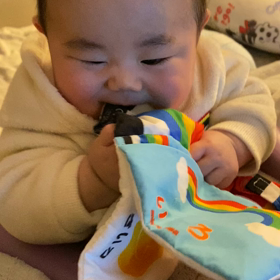 おもちゃはぜんぶ食べ物の画像