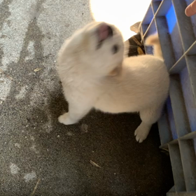 親子たちの画像