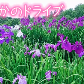 一期一会を大切にの画像