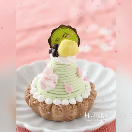 クリスマスセールはじまりました～クーポンも出てます☆の記事動画