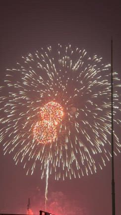 花火の動画の記事動画