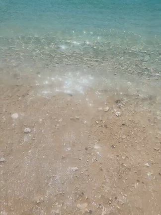 素敵すぎた阿波連ビーチの記事動画