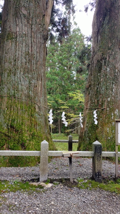 ふと思い立った神社参拝からの〜✨の記事動画