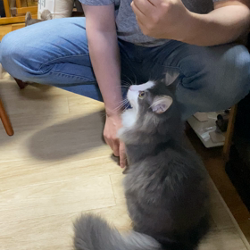 ご無沙汰しております。の画像