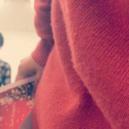 ひ な た な ほ こ                で       ある。の記事動画