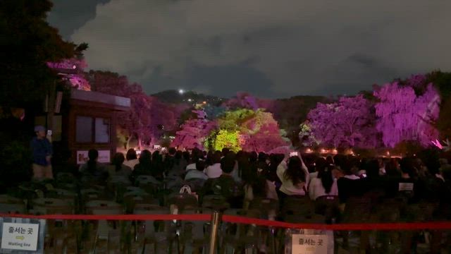 【25.10ソウルひとり旅②】オンニと息子さんの心温かなおもてなしの記事動画