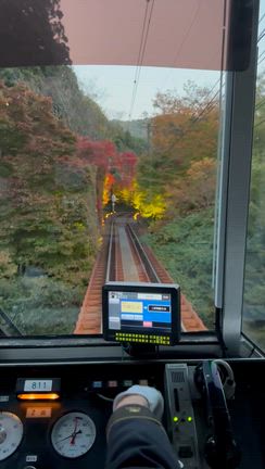 【バスツアーひとり旅】京都・紅葉　もみじのトンネル　叡山電車　大原三千院　貴船神社の記事動画