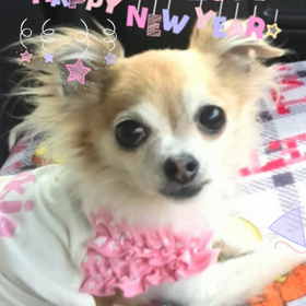 ＼ 新年の書き初め ／の画像