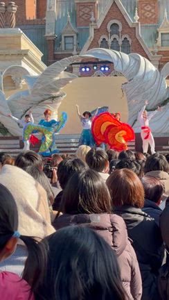 ✩.*˚ディズニーシーで過ごした最高のBirthdayの記事動画