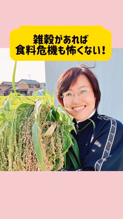 タネから育てた自家製もちキビ、脱穀＆調整出来ました！の記事動画