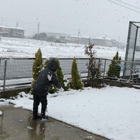 年末感☆の画像