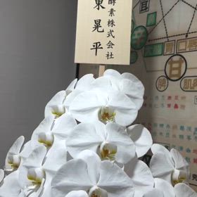 2024/10/23の画像