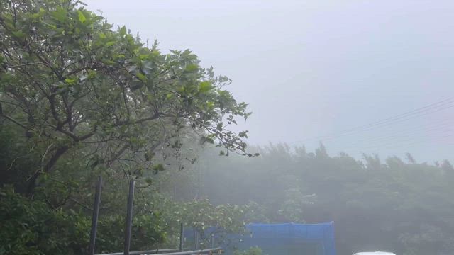 現場にアタックの記事動画